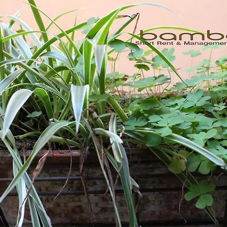 Apartment Bamboo Brera Milan