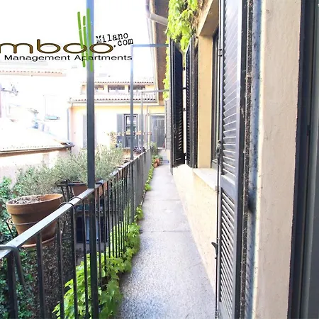 Bamboo Brera